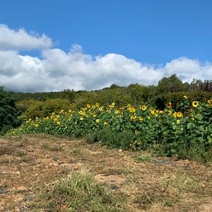 Meet your Posher, Avery